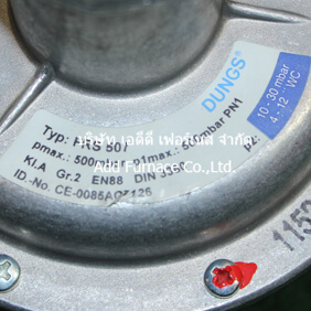 FRS505 Dungs